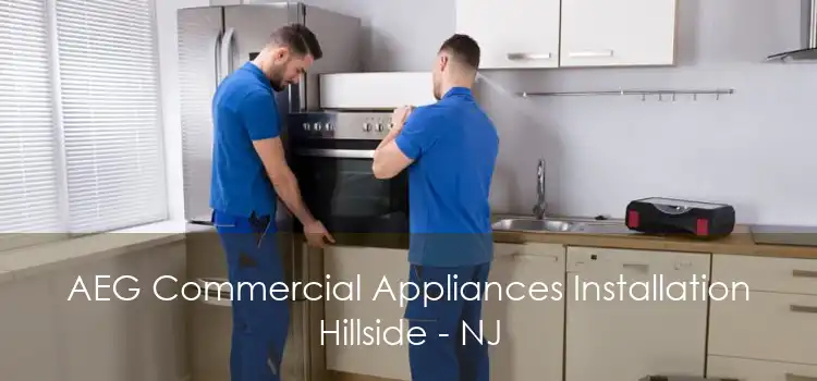 AEG Commercial Appliances Installation Hillside - NJ