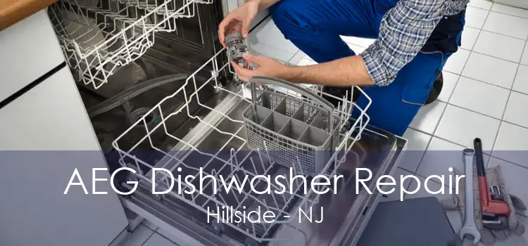 AEG Dishwasher Repair Hillside - NJ