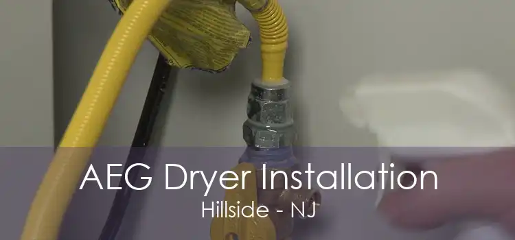 AEG Dryer Installation Hillside - NJ