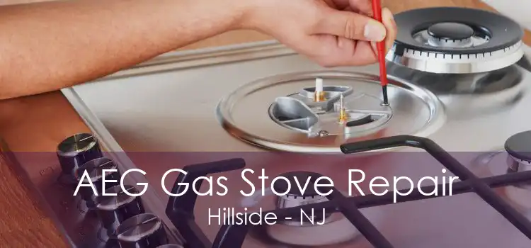 AEG Gas Stove Repair Hillside - NJ