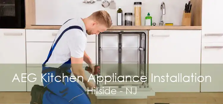 AEG Kitchen Appliance Installation Hillside - NJ
