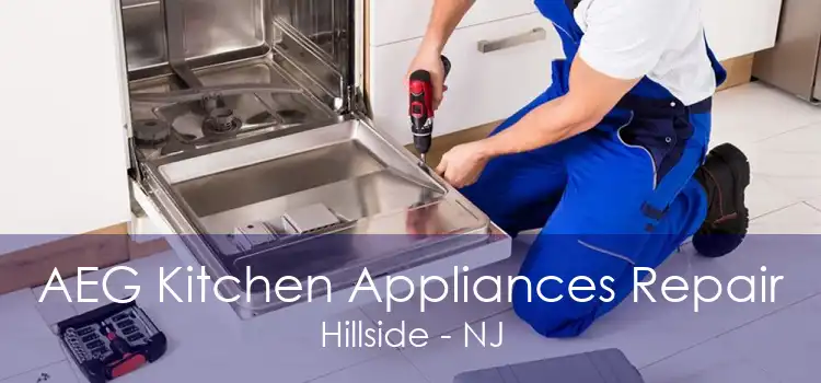 AEG Kitchen Appliances Repair Hillside - NJ