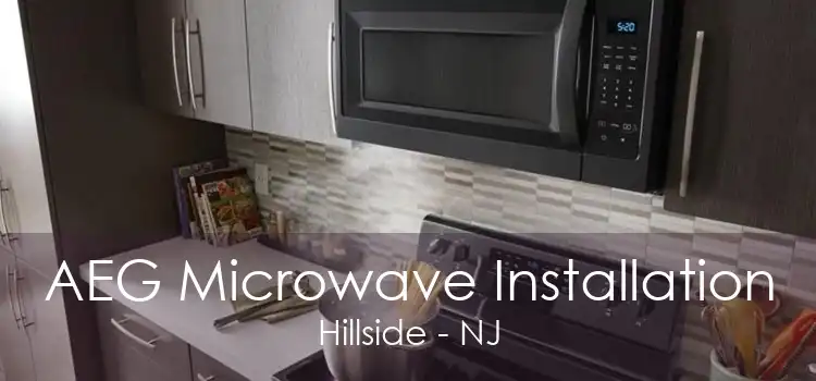AEG Microwave Installation Hillside - NJ