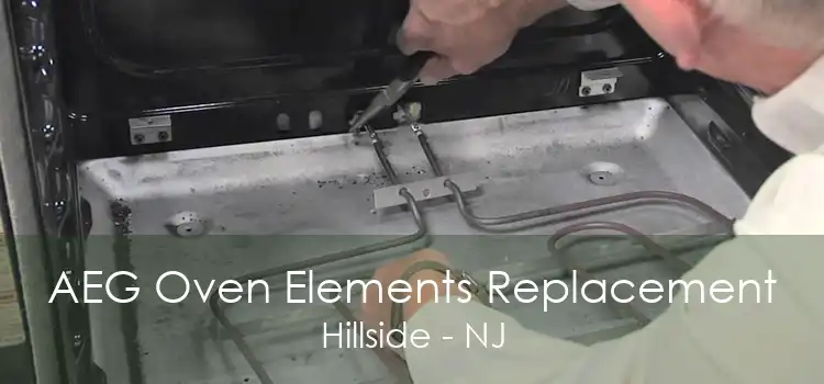 AEG Oven Elements Replacement Hillside - NJ