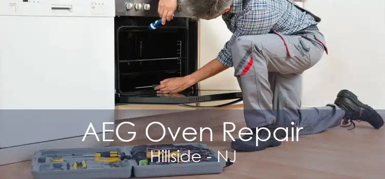 AEG Oven Repair Hillside - NJ