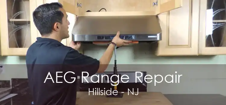 AEG Range Repair Hillside - NJ