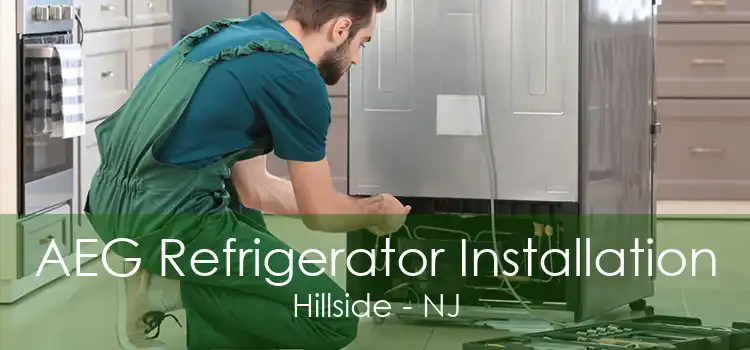 AEG Refrigerator Installation Hillside - NJ