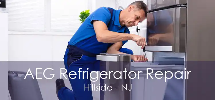 AEG Refrigerator Repair Hillside - NJ