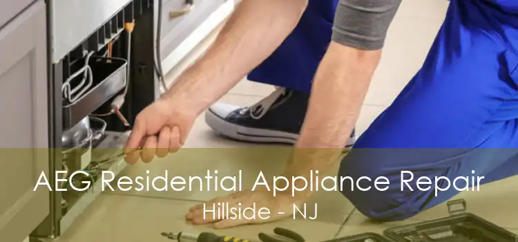 AEG Residential Appliance Repair Hillside - NJ