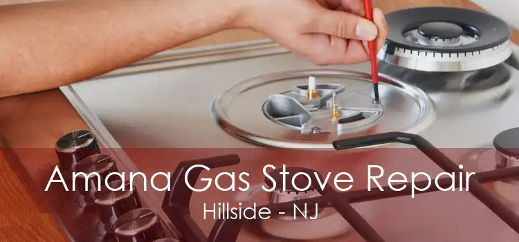 Amana Gas Stove Repair Hillside - NJ