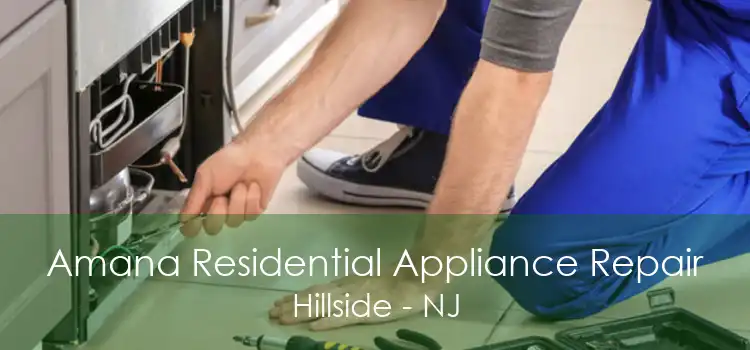 Amana Residential Appliance Repair Hillside - NJ