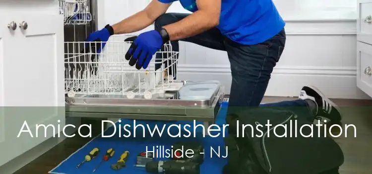 Amica Dishwasher Installation Hillside - NJ