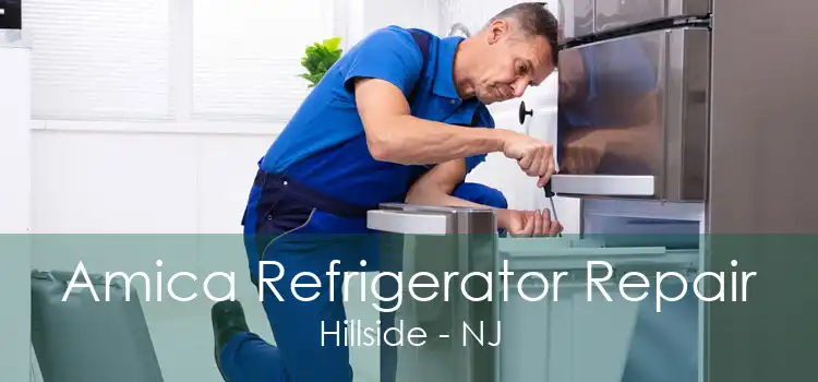 Amica Refrigerator Repair Hillside - NJ