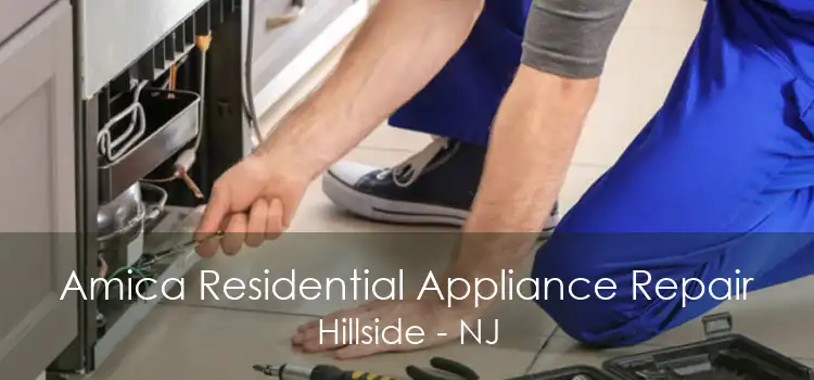 Amica Residential Appliance Repair Hillside - NJ