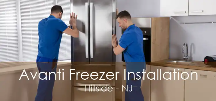 Avanti Freezer Installation Hillside - NJ