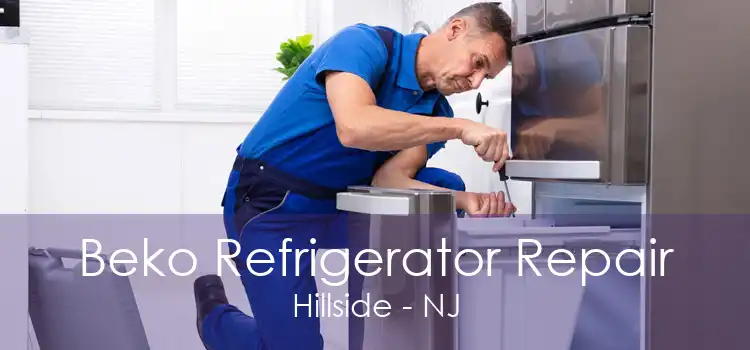 Beko Refrigerator Repair Hillside - NJ