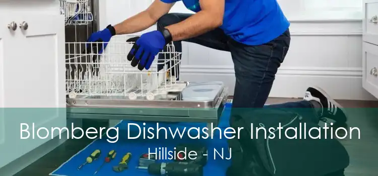 Blomberg Dishwasher Installation Hillside - NJ