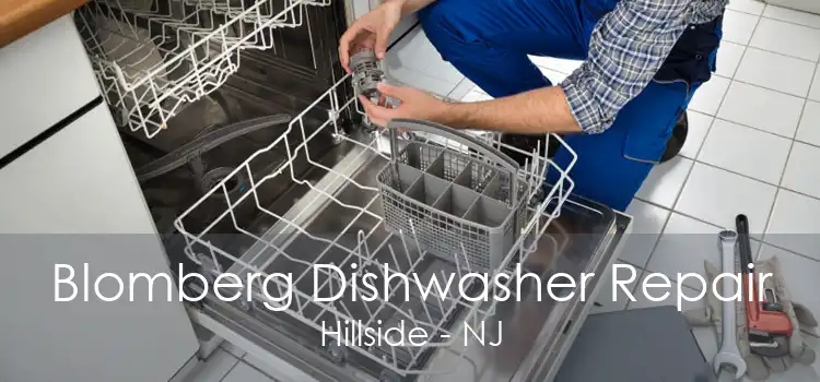 Blomberg Dishwasher Repair Hillside - NJ