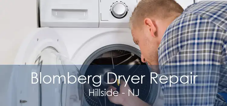 Blomberg Dryer Repair Hillside - NJ