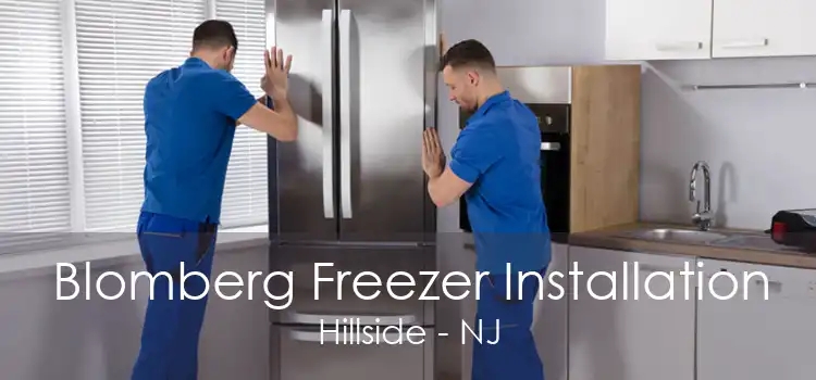 Blomberg Freezer Installation Hillside - NJ