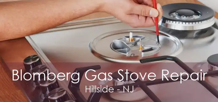 Blomberg Gas Stove Repair Hillside - NJ