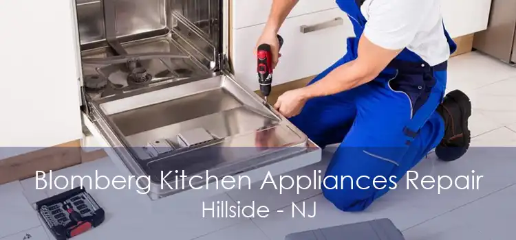 Blomberg Kitchen Appliances Repair Hillside - NJ