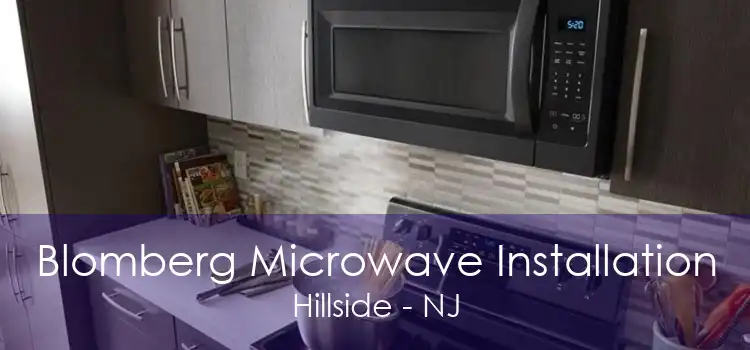 Blomberg Microwave Installation Hillside - NJ