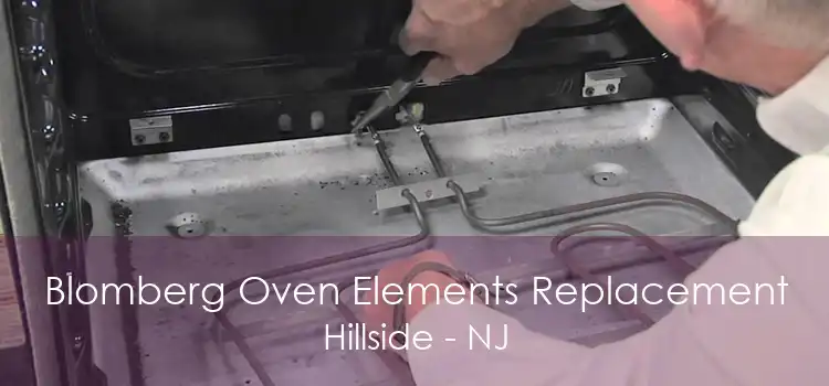 Blomberg Oven Elements Replacement Hillside - NJ