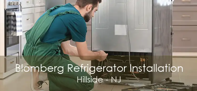 Blomberg Refrigerator Installation Hillside - NJ
