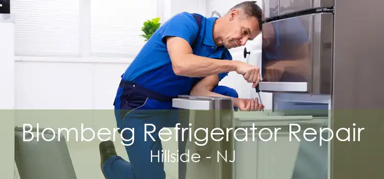 Blomberg Refrigerator Repair Hillside - NJ