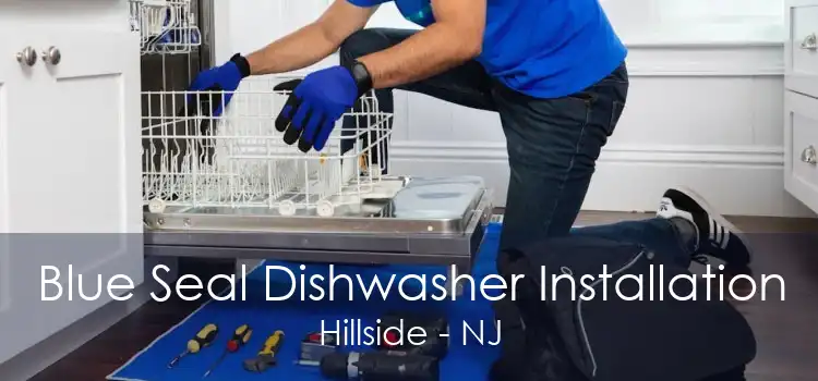 Blue Seal Dishwasher Installation Hillside - NJ