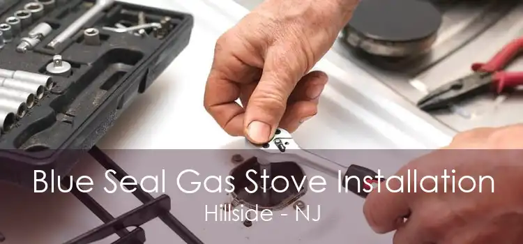 Blue Seal Gas Stove Installation Hillside - NJ