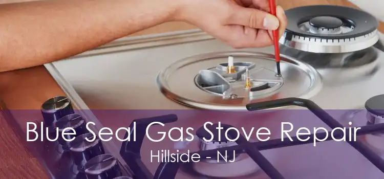 Blue Seal Gas Stove Repair Hillside - NJ