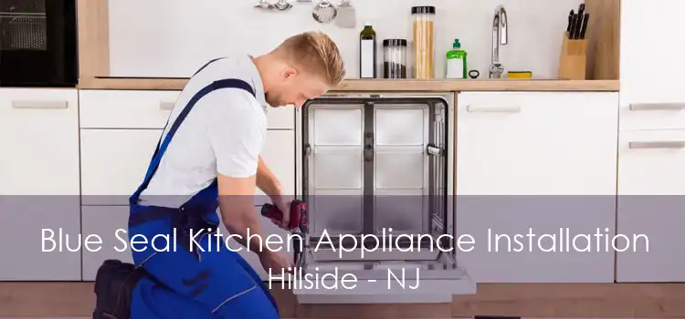 Blue Seal Kitchen Appliance Installation Hillside - NJ