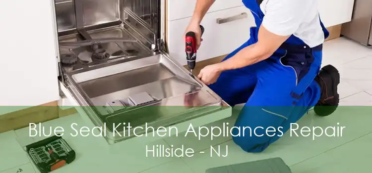 Blue Seal Kitchen Appliances Repair Hillside - NJ