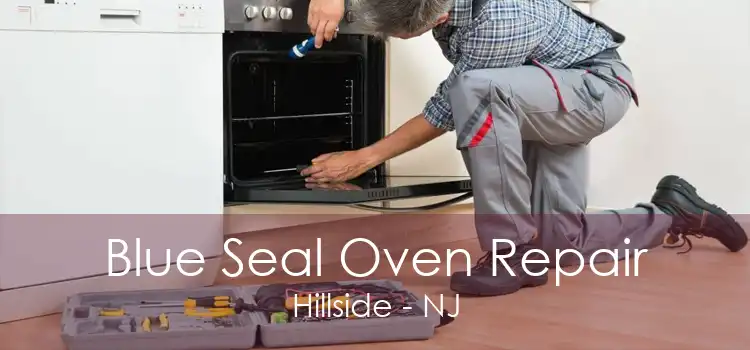 Blue Seal Oven Repair Hillside - NJ