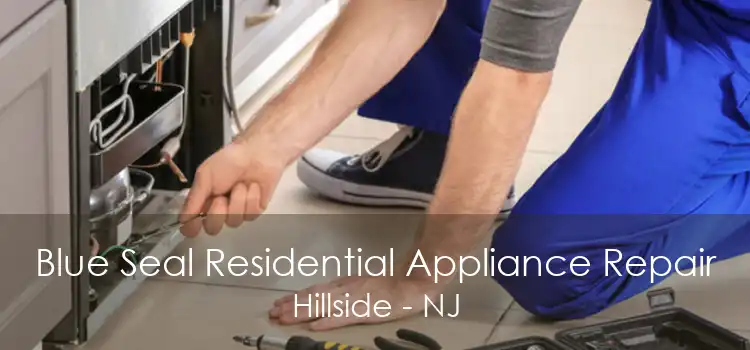 Blue Seal Residential Appliance Repair Hillside - NJ