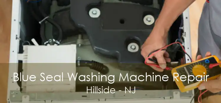 Blue Seal Washing Machine Repair Hillside - NJ