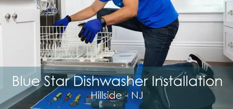 Blue Star Dishwasher Installation Hillside - NJ
