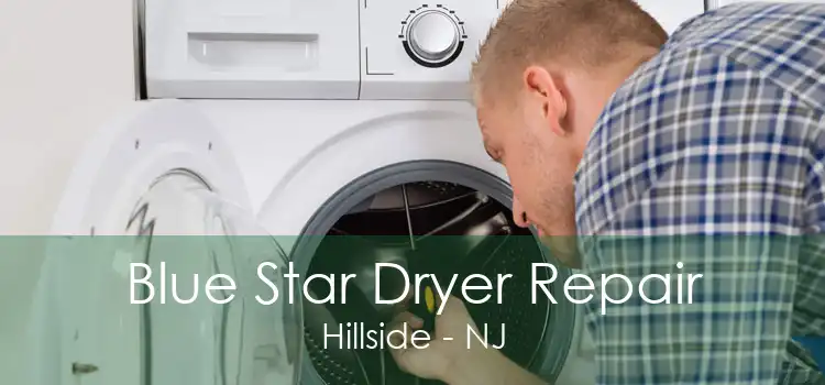 Blue Star Dryer Repair Hillside - NJ
