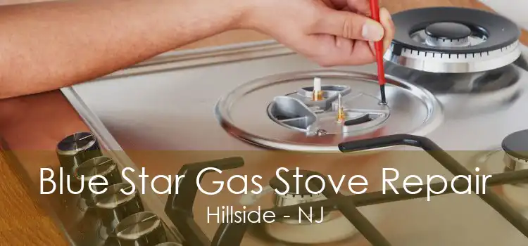 Blue Star Gas Stove Repair Hillside - NJ