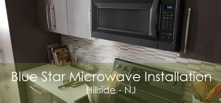 Blue Star Microwave Installation Hillside - NJ