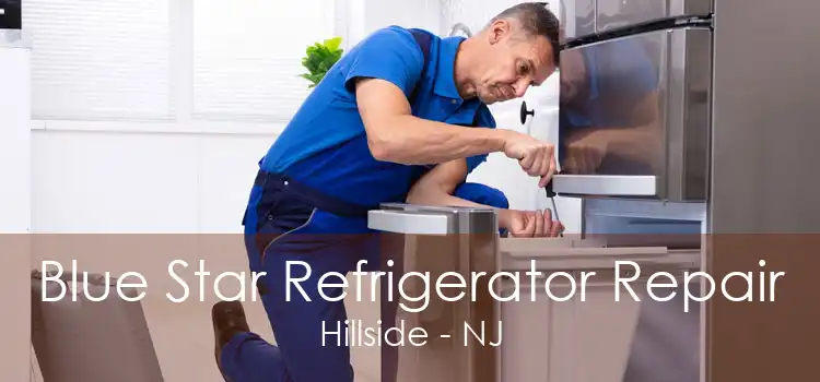Blue Star Refrigerator Repair Hillside - NJ