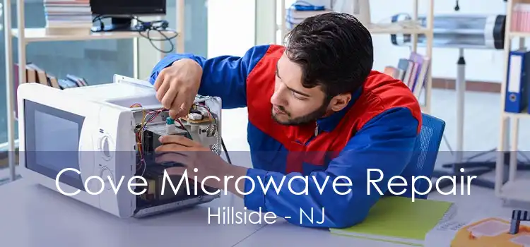 Cove Microwave Repair Hillside - NJ
