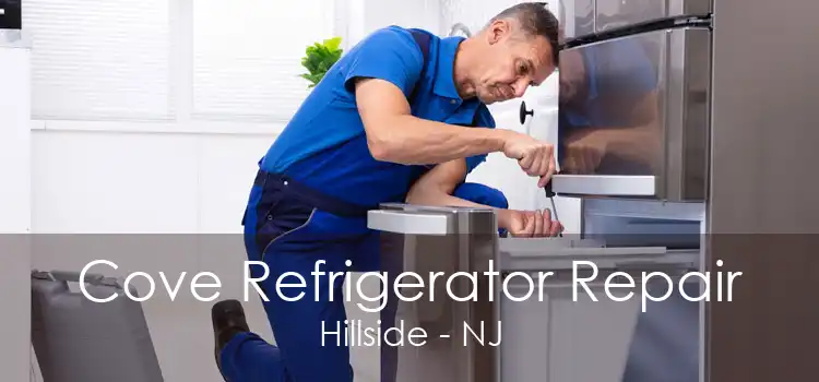 Cove Refrigerator Repair Hillside - NJ