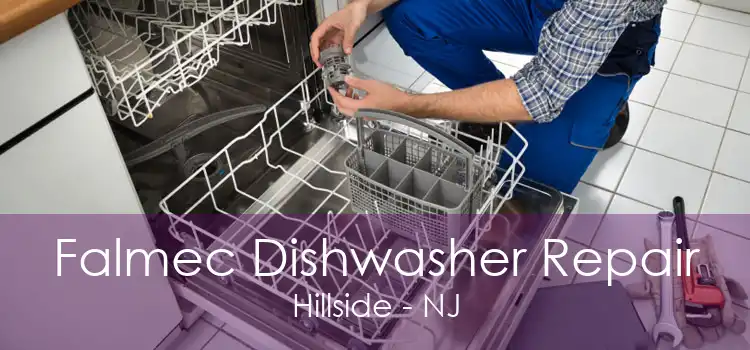 Falmec Dishwasher Repair Hillside - NJ