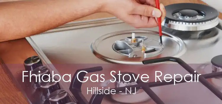 Fhiaba Gas Stove Repair Hillside - NJ