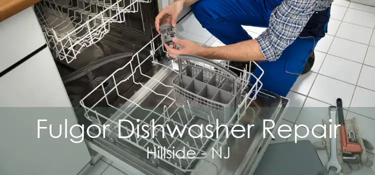 Fulgor Dishwasher Repair Hillside - NJ