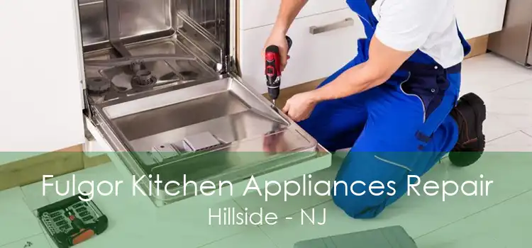 Fulgor Kitchen Appliances Repair Hillside - NJ