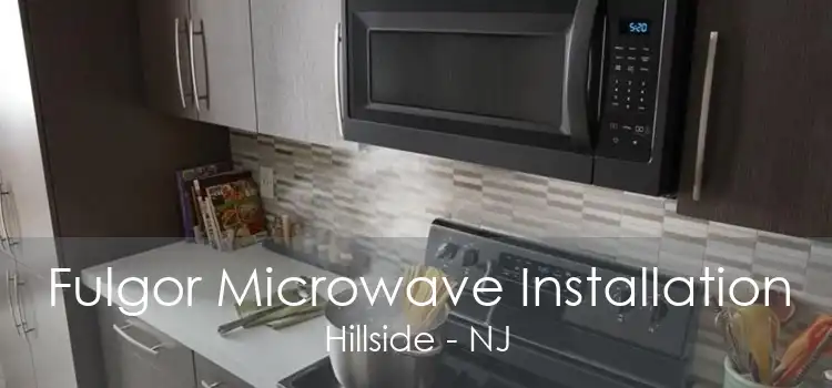 Fulgor Microwave Installation Hillside - NJ
